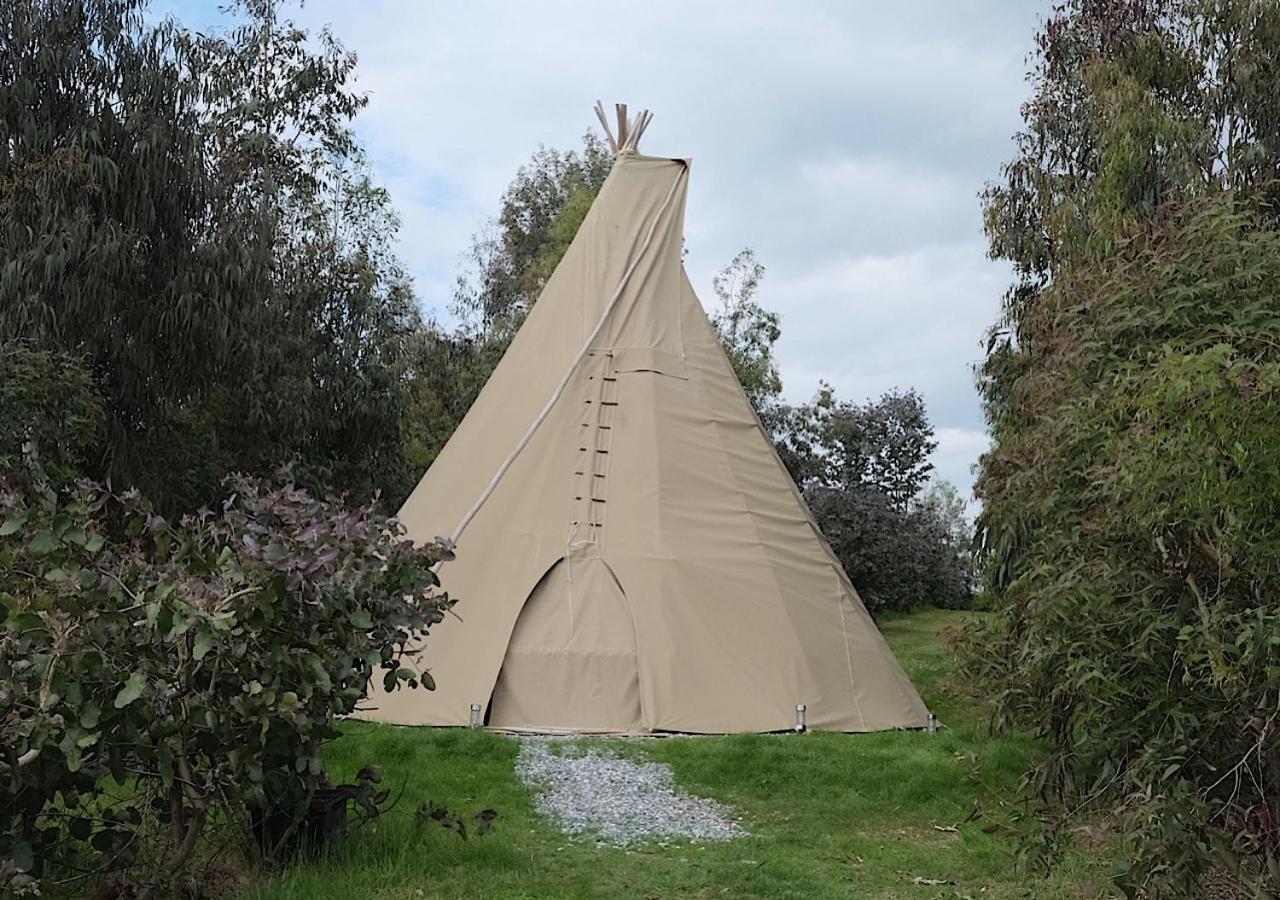 Gumtree Tipis Hotell Bickington Eksteriør bilde