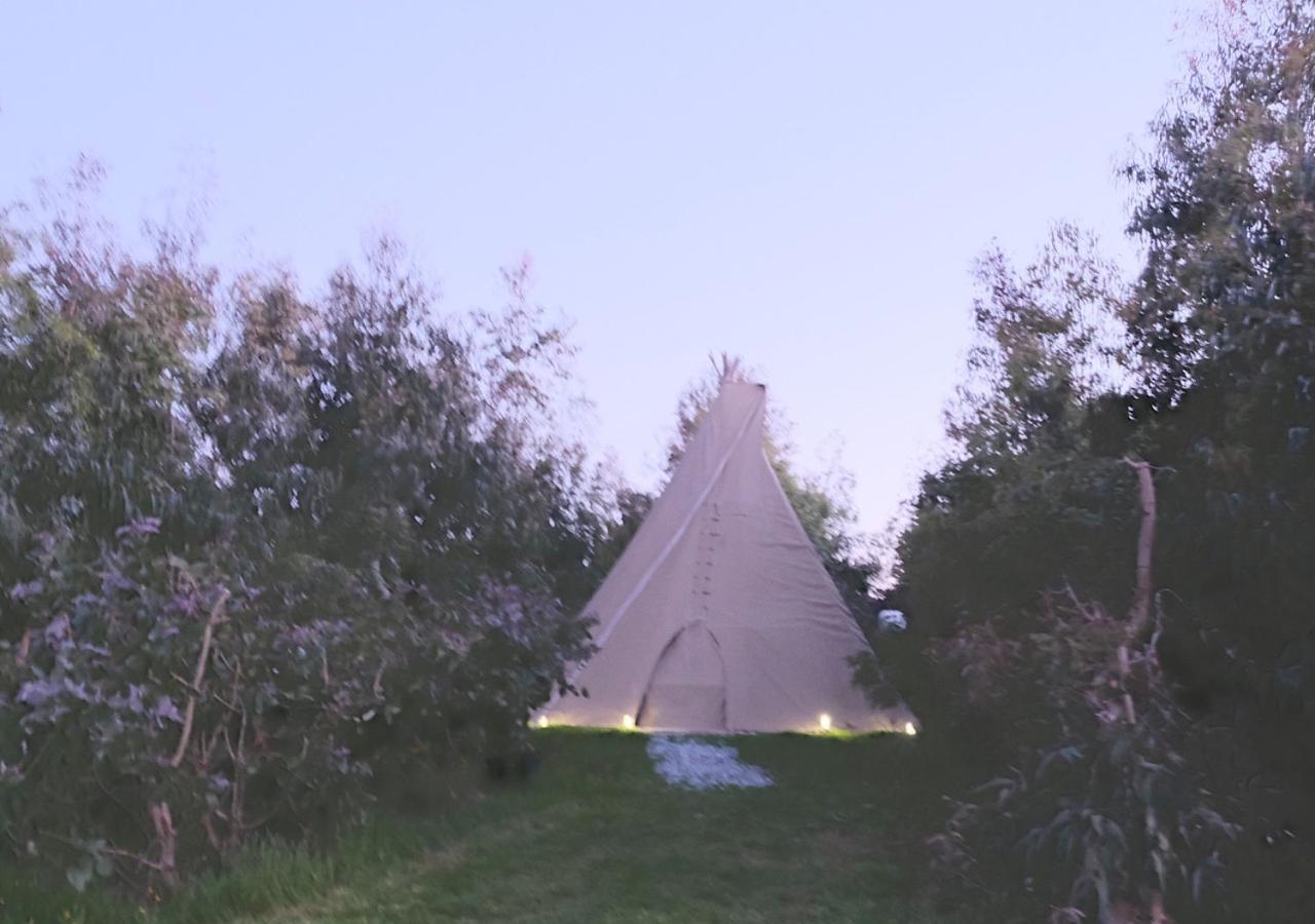 Gumtree Tipis Hotell Bickington Eksteriør bilde