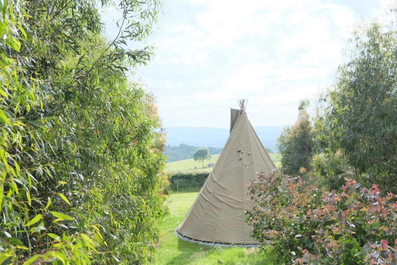 Gumtree Tipis Hotell Bickington Eksteriør bilde